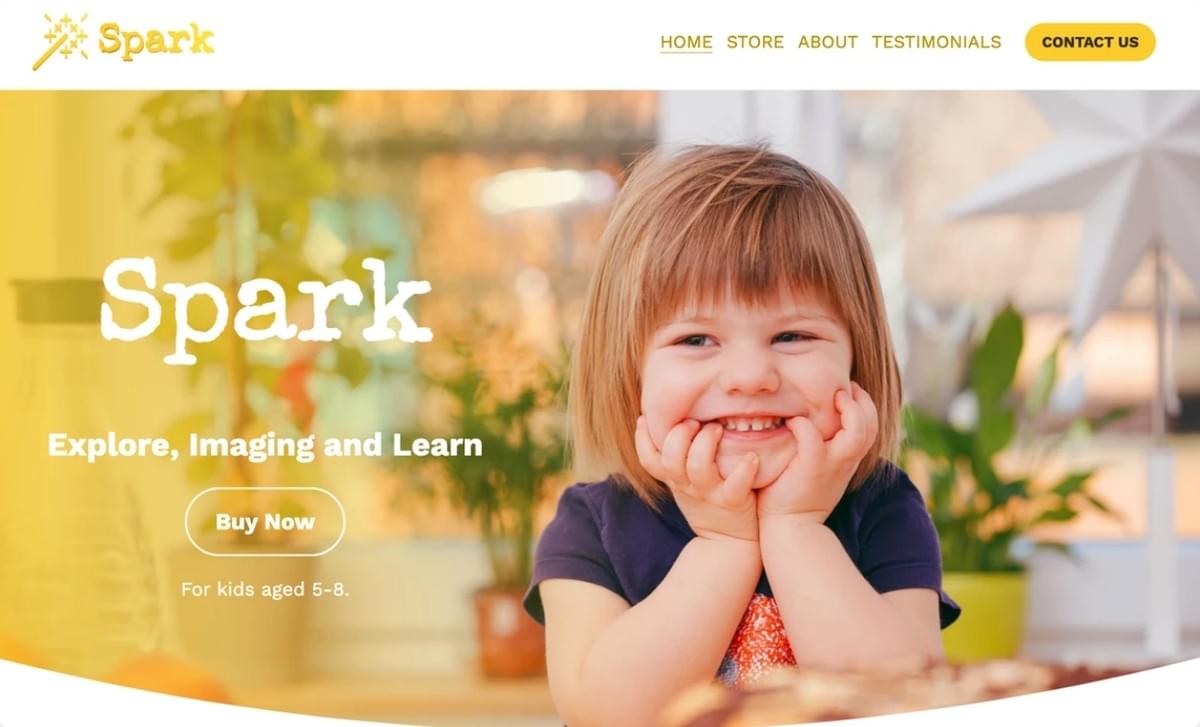 Spark Sjabloon van Strikingly