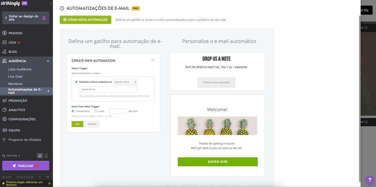 Strikingly Automatização de E-mail Recurso