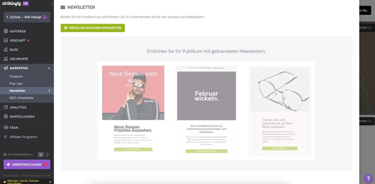 Strikingly Newsletter-Funktion
