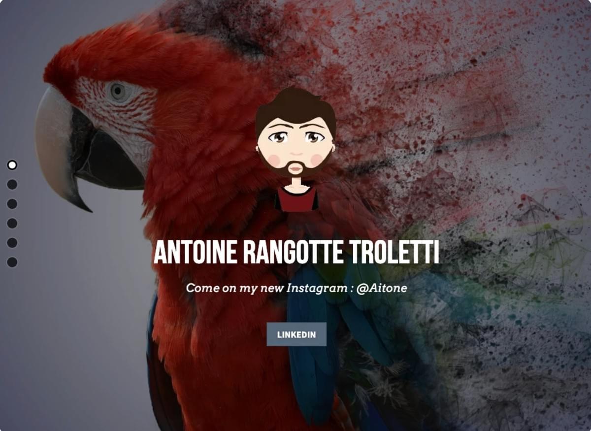 Illustratieportfoliowebsite van Strikingly