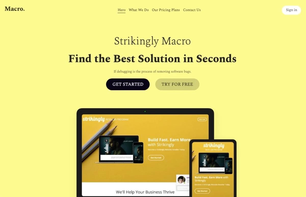 Macro Business Template van Strikingly