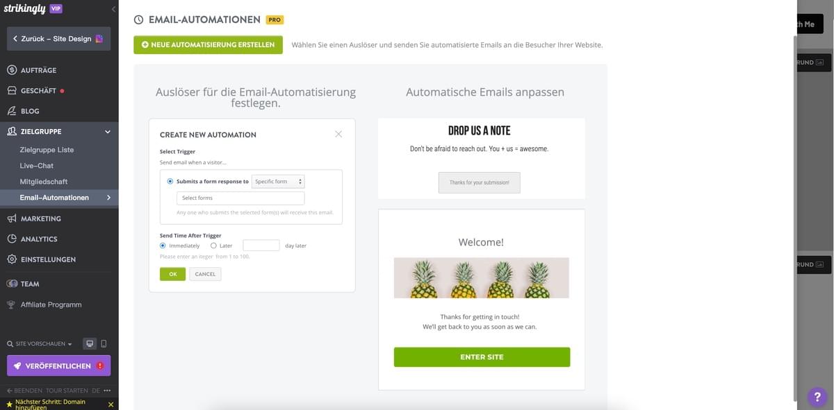 E-Mail-Autoresponder mit Strikingly nutzen – Erstellen Sie eine Autoresponder-Kampagne