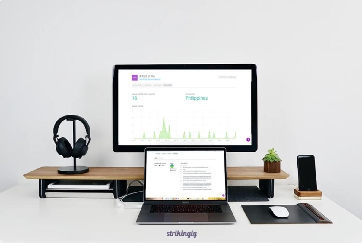 Painel de Análises Strikingly