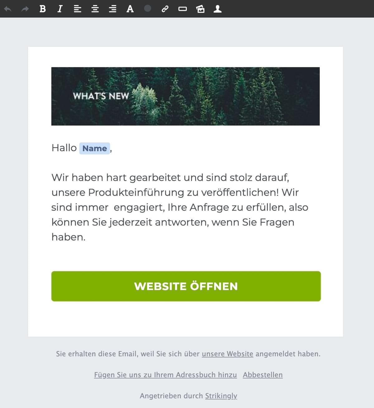 Strikingly Newsletter Funktion