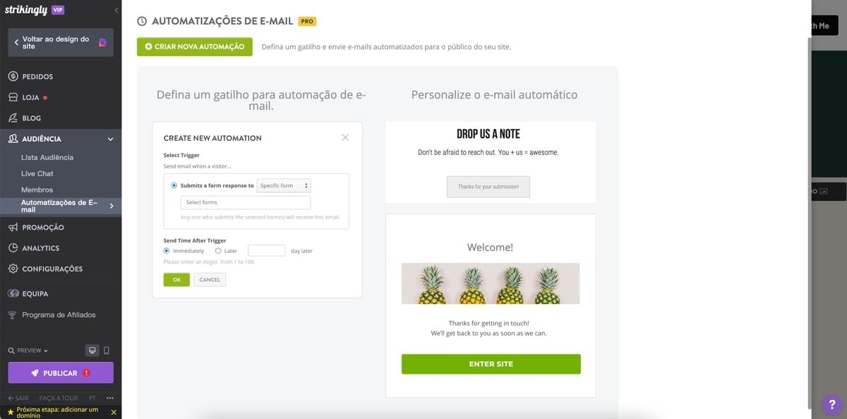 Personalização de e-mail com Strikingly - E-mails Transacionais