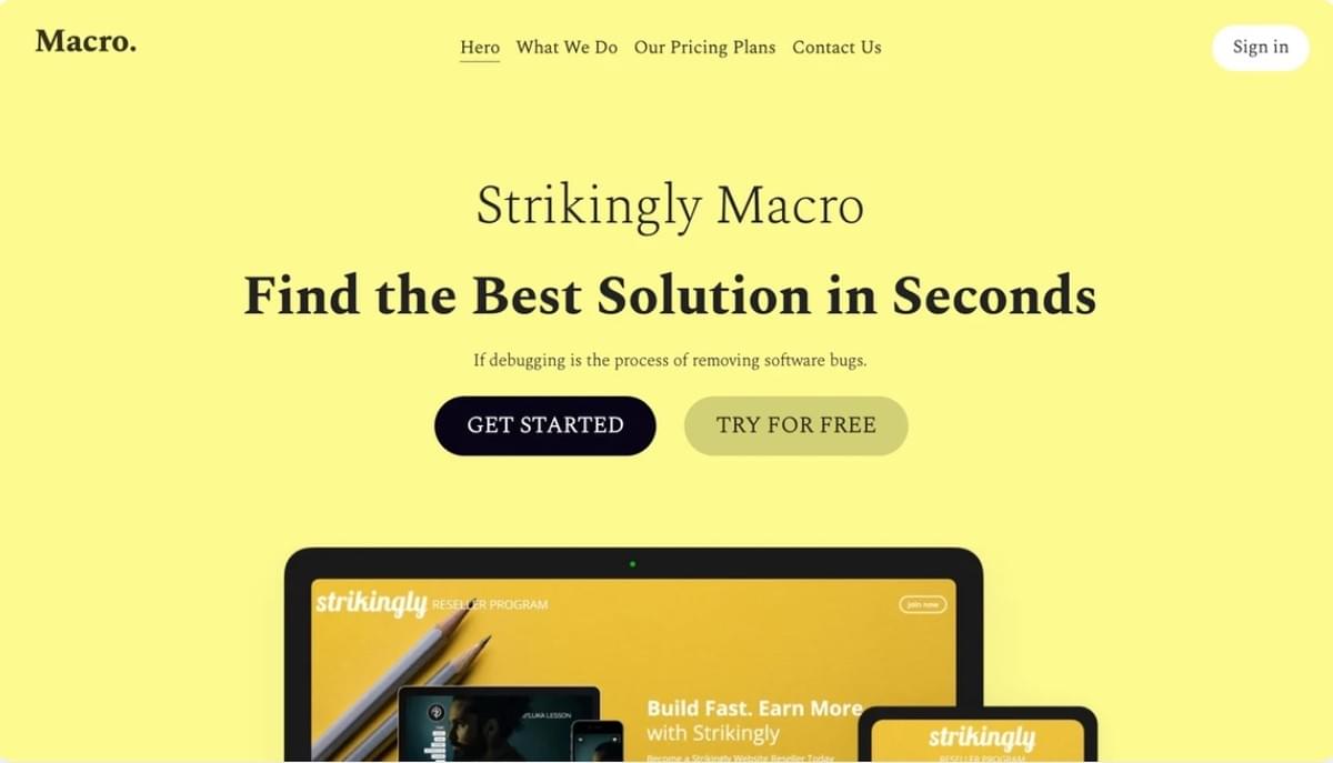 Macro Template van Strikingly