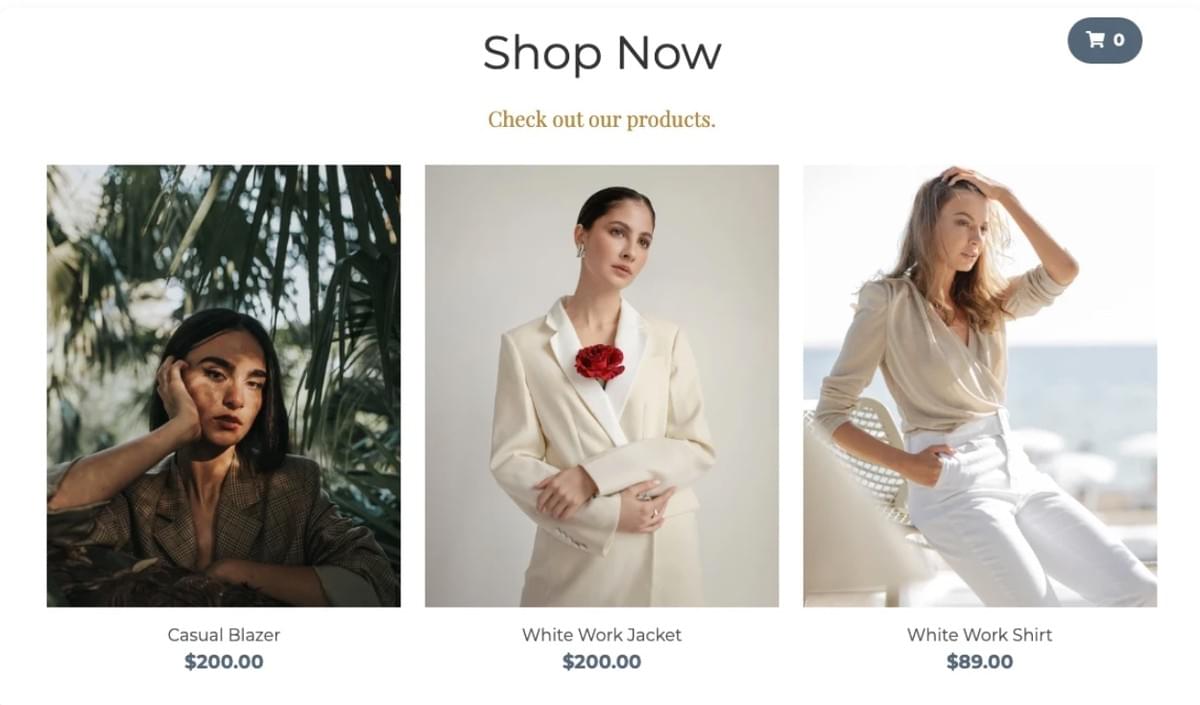 Modelo de Loja Online Perspective