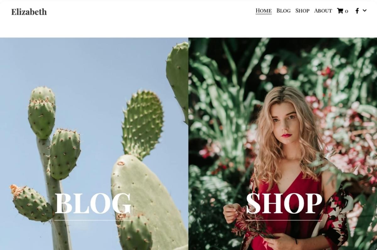 Sjabloon voor een sappig retailblog van Strikingly