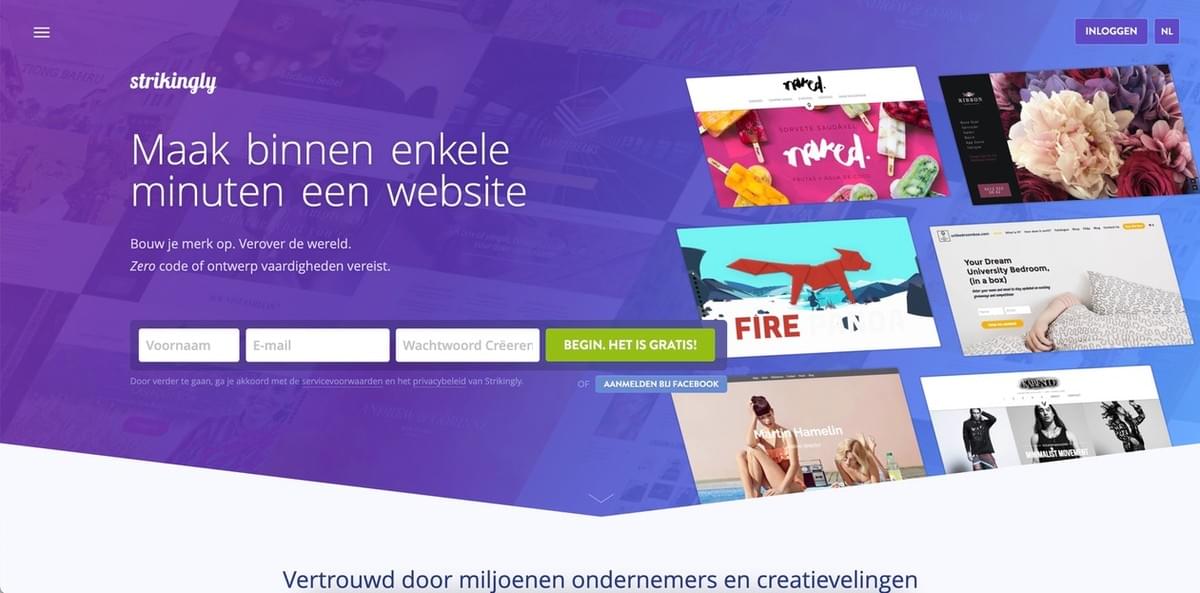Strikingly landingpagina