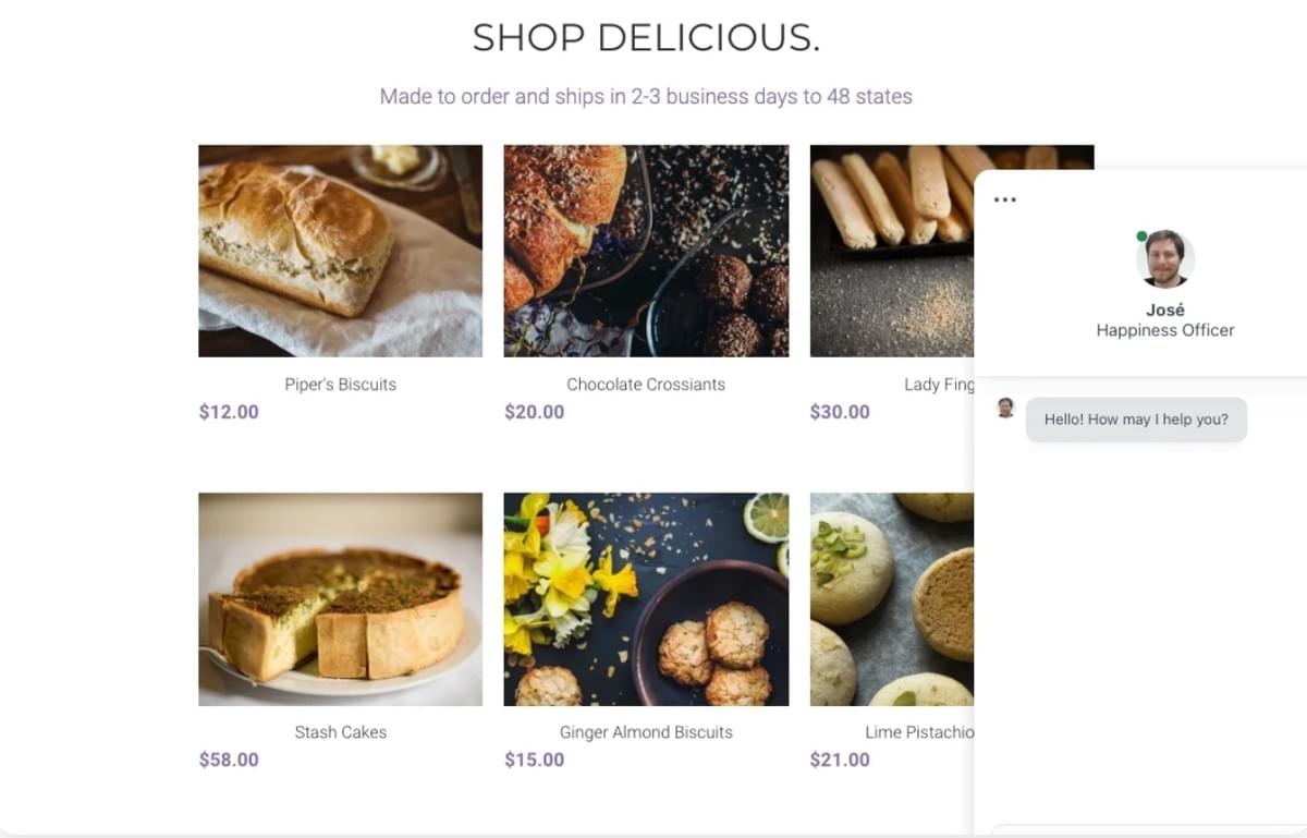 Minimal Store Template met Live Chat