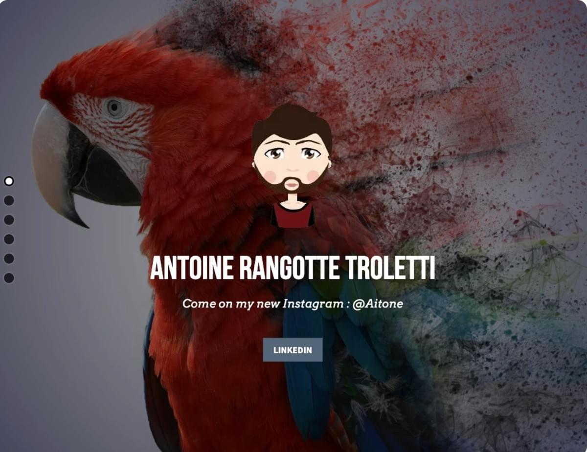 O-lijn illustratieportfolio met Strikingly