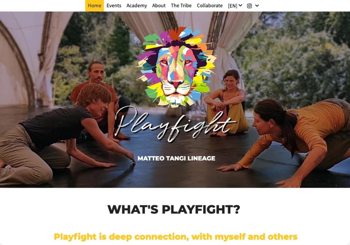 creatieve bedrijfsnaam: Playfight