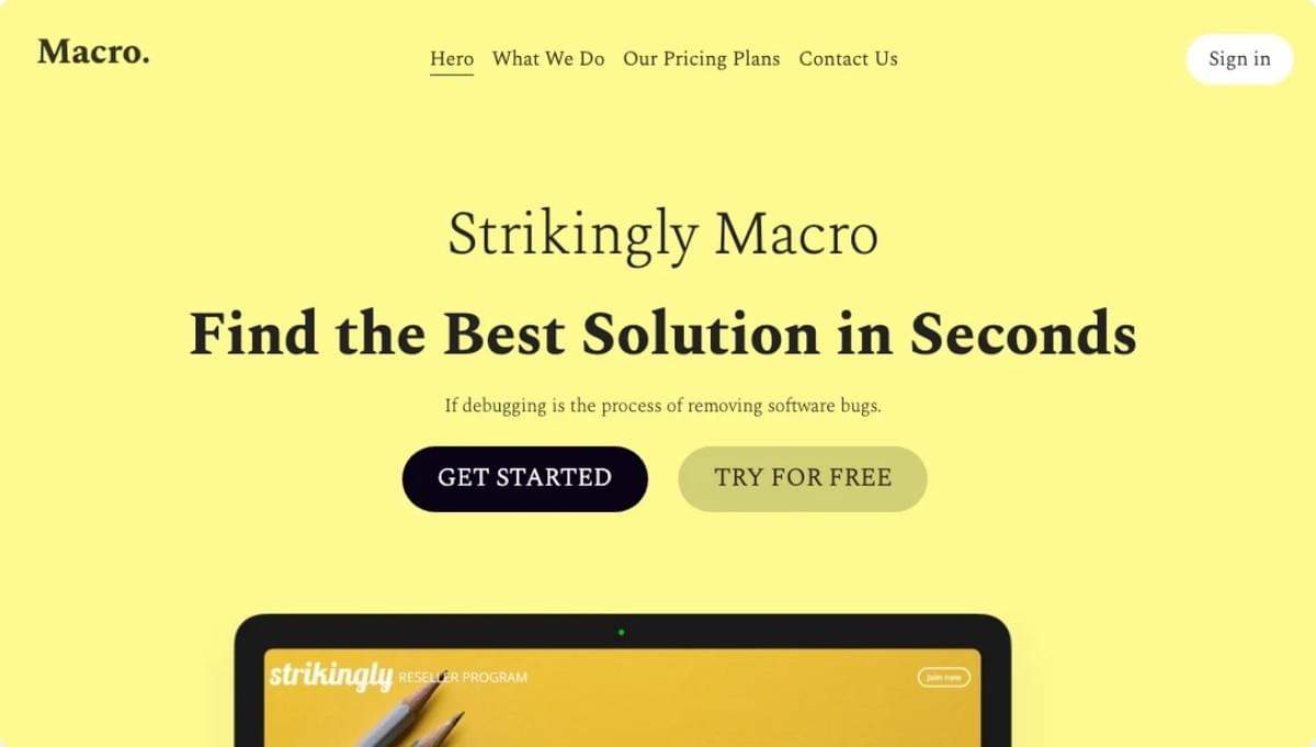 Macro Template van Strikingly