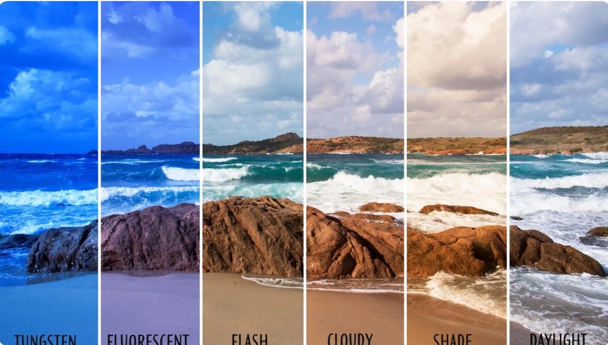 Impulsione o Desempenho do Seu Site com Hospedagem de Imagens