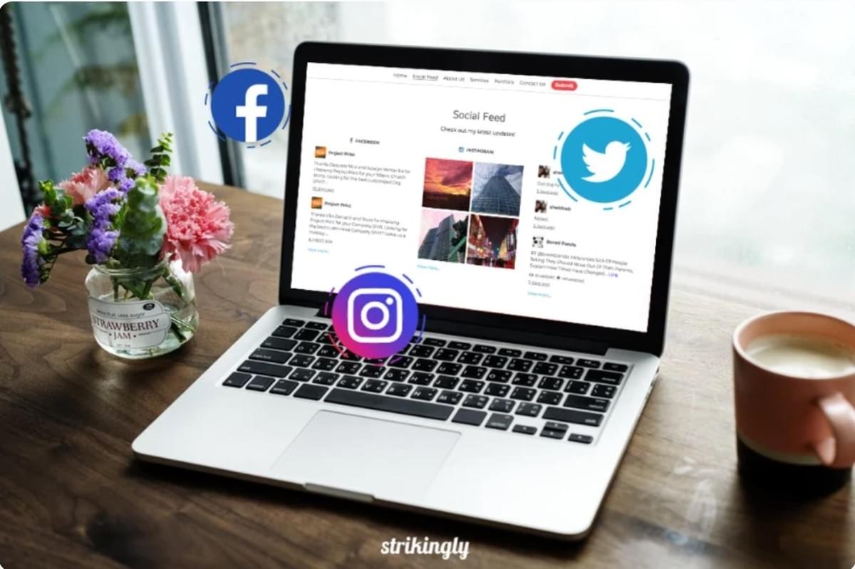 Strikingly Sociale Feed Sectie