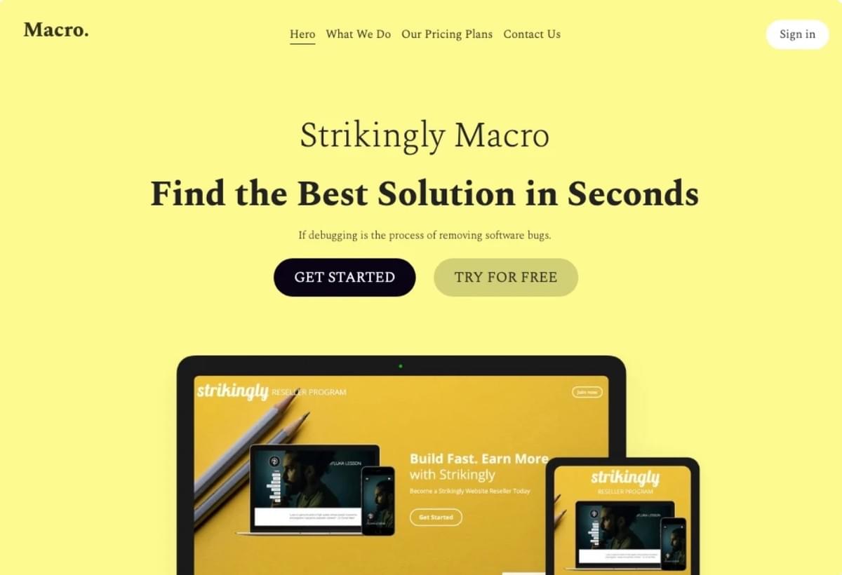 Macro Template van Strikingly