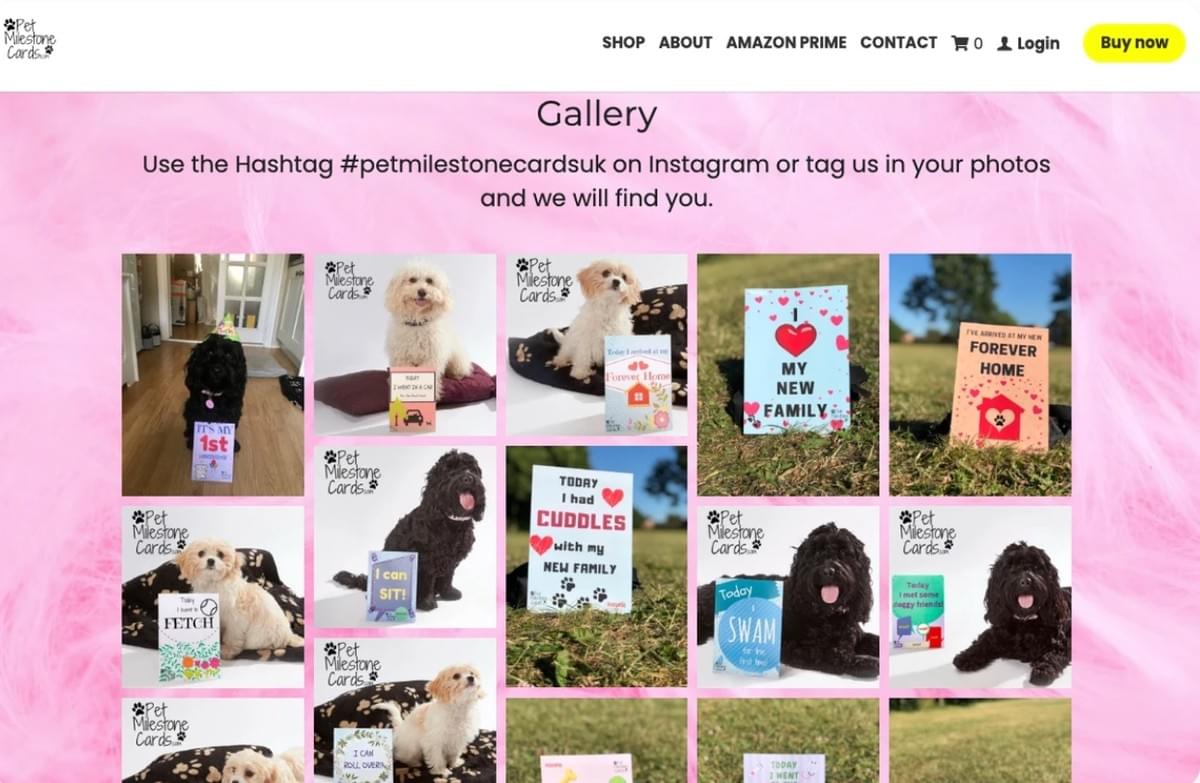 Instagram-campagne met mijlpaalkaarten voor huisdieren