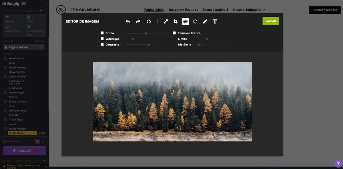 Editor de Imagens da Strikingly