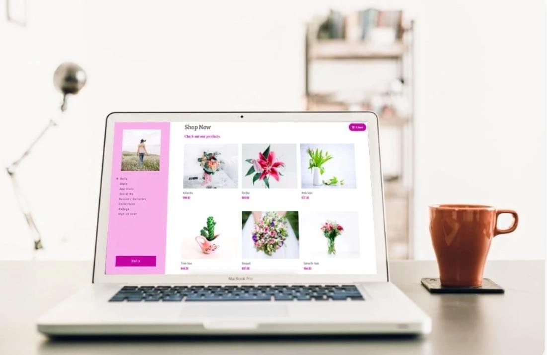 Loja de E-commerce Strikingly