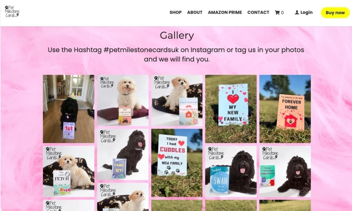 5 Boeiende Visuele Verhaaltips