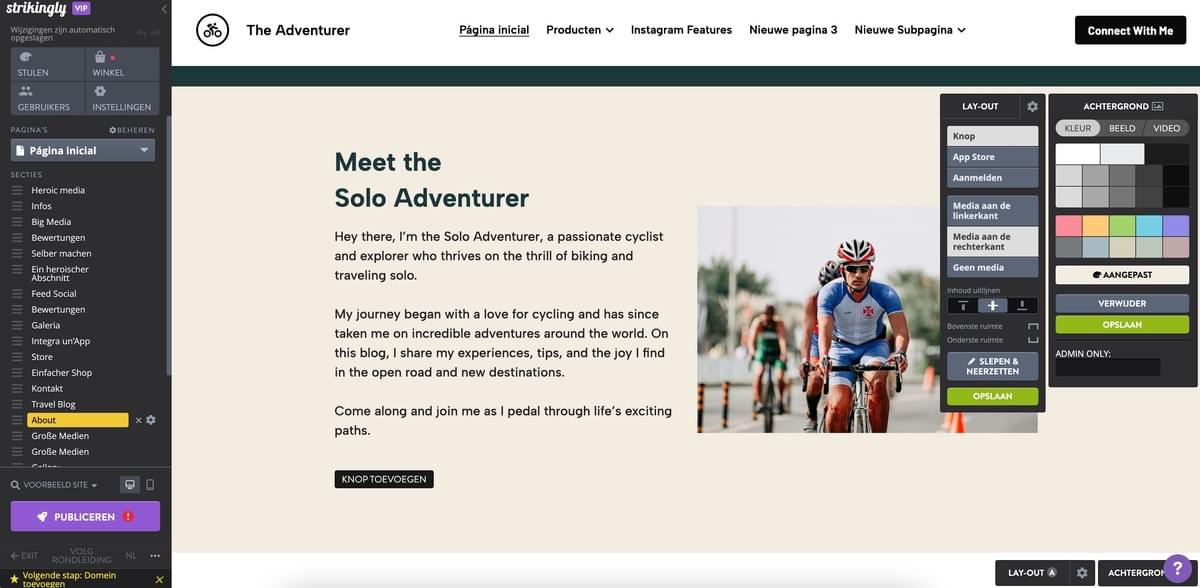 Strikingly Website Editor