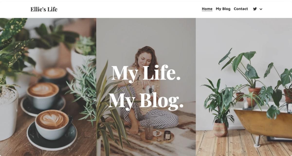 Modelo de Blog de Moda do Strikingly