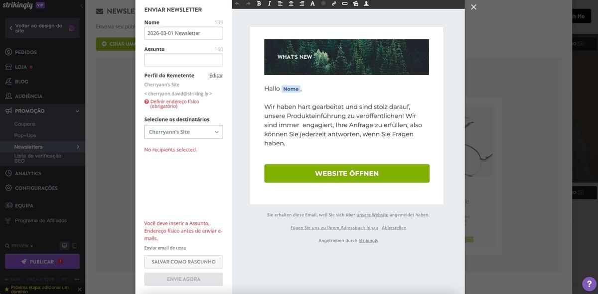 Modelo de Newsletter Strikingly