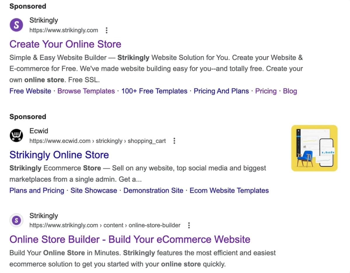 Strikingly Online Store Meta Description van Google