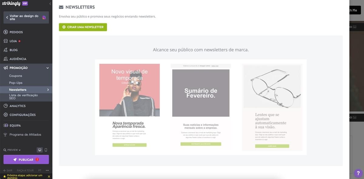 Recurso de Newsletter Strikingly