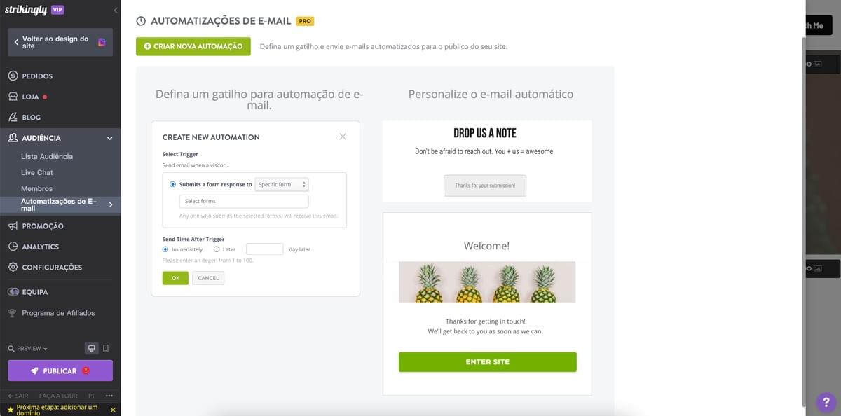 Automação de Email Recurso da Strikingly