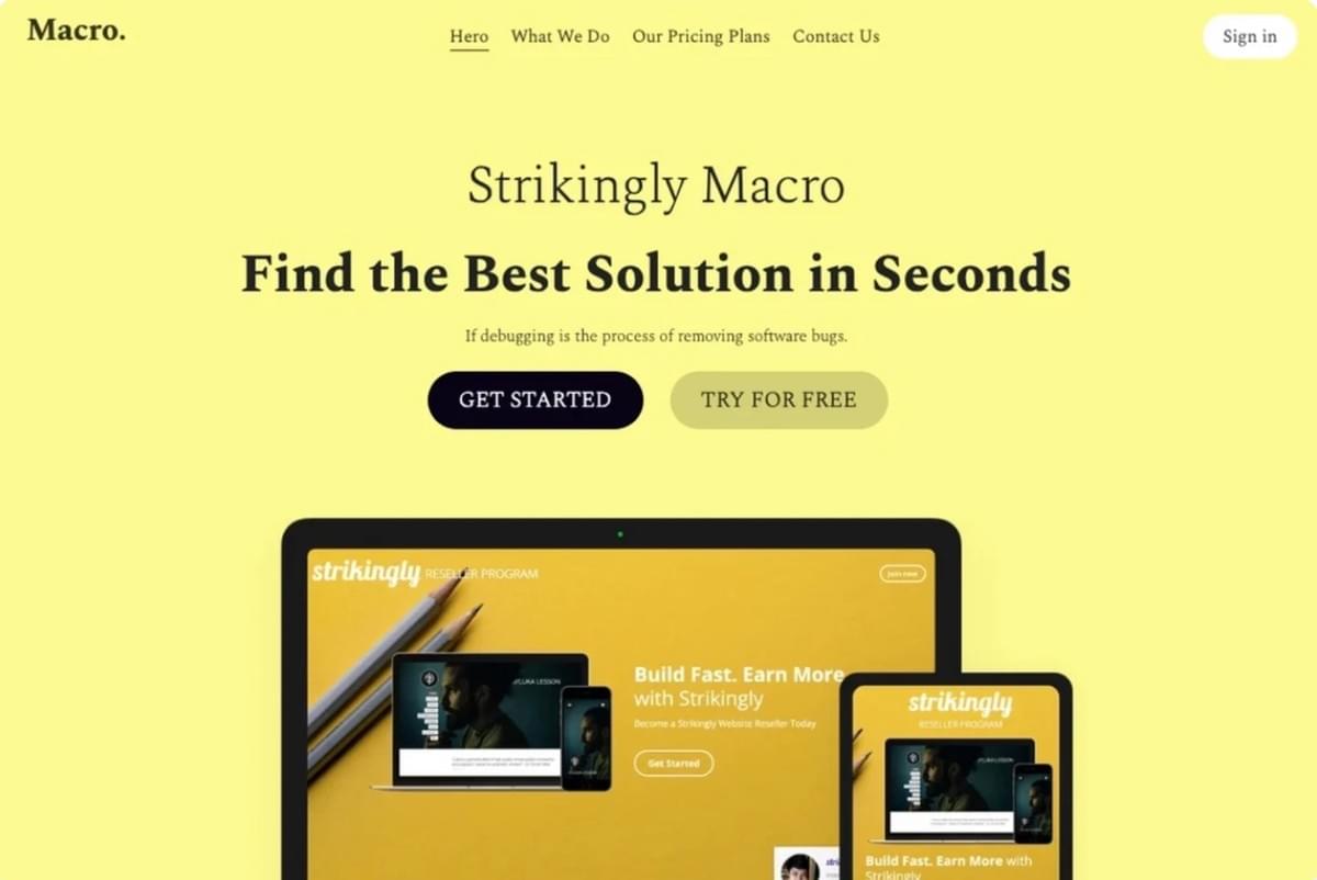 Makrovorlage von Strikingly