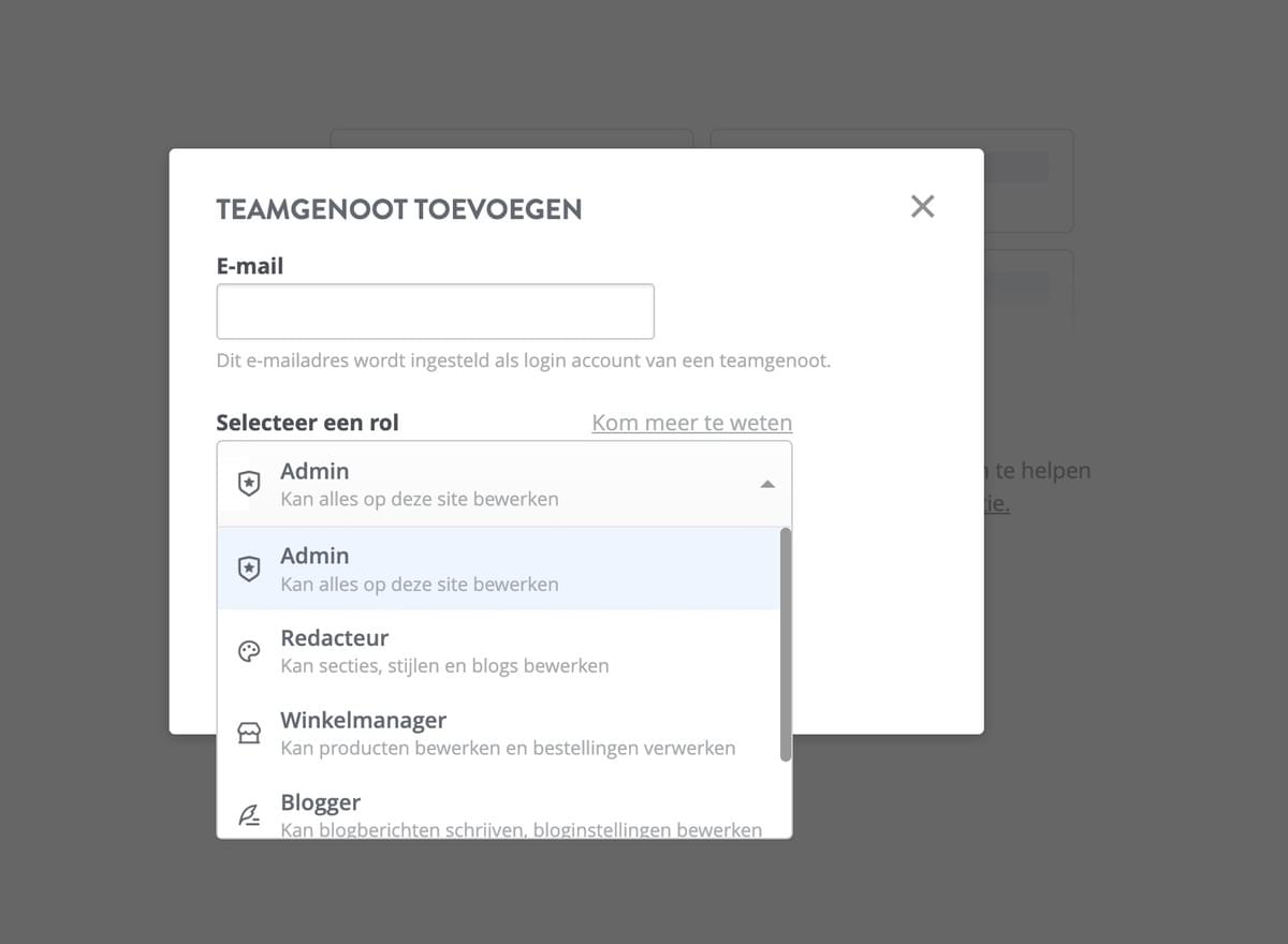 Strikingly Team Rollen