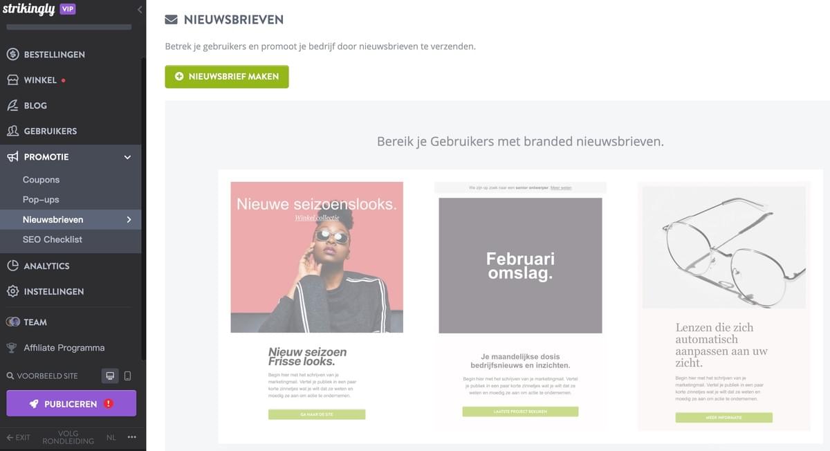 Strikingly Recurso de Newsletter
