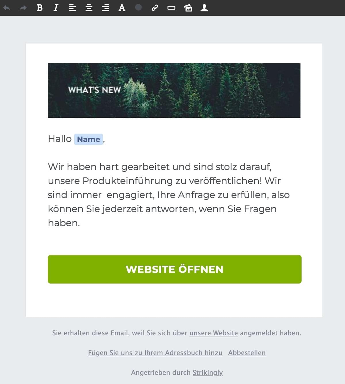 Strikingly Newsletter Vorlage