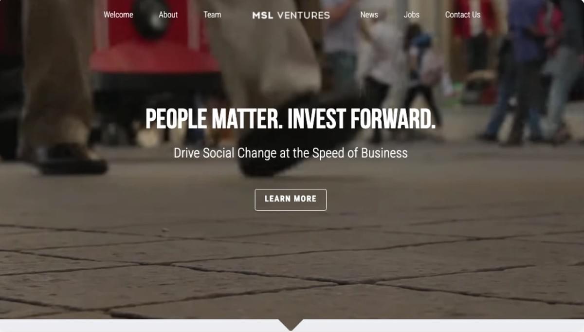 MSL Ventures Vorlage von Strikingly