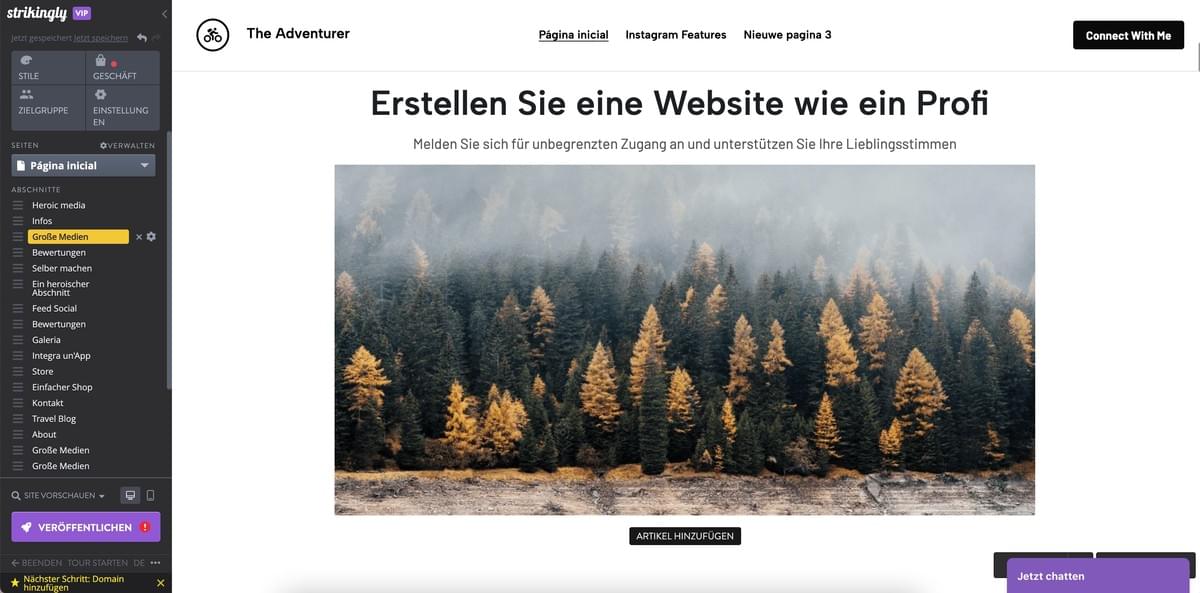 Strikingly Website-Editor