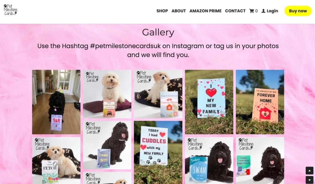 Exemplos de Campanhas de Mídia Social Bem-Sucedidas