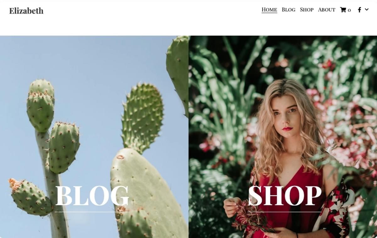 Succulentensjabloon van Strikingly