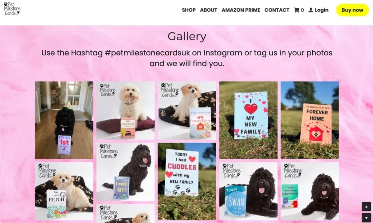 Instagram-campagne met mijlpaalkaarten voor huisdieren