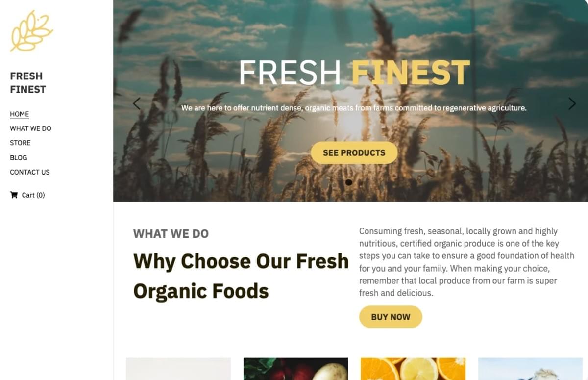 Verse beste e-commerce sjabloon van Strikingly