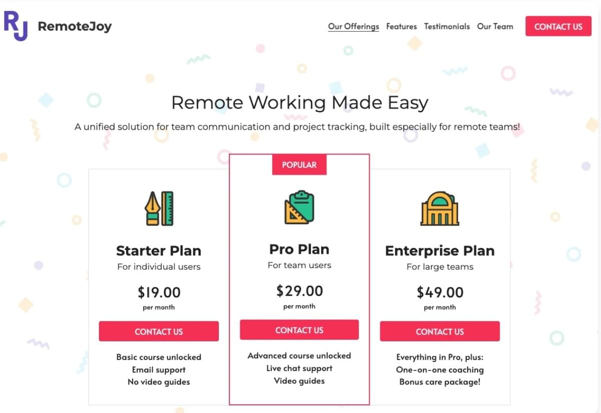 Remote Joy Sjabloon van Strikingly