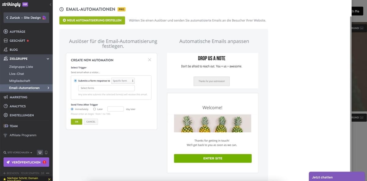 E-Mail-Automatisierung Funktion von Strikingly
