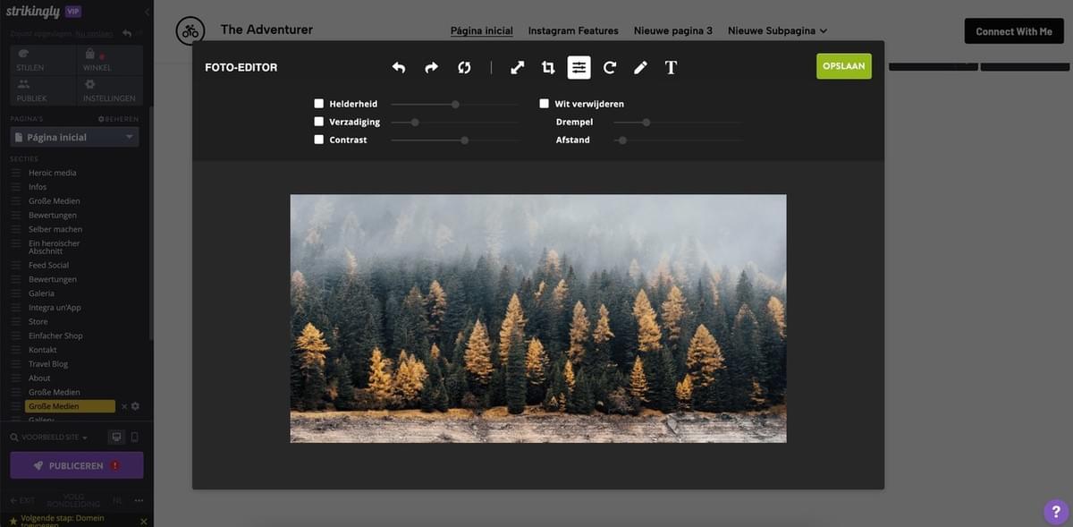 Strikingly Image Editor