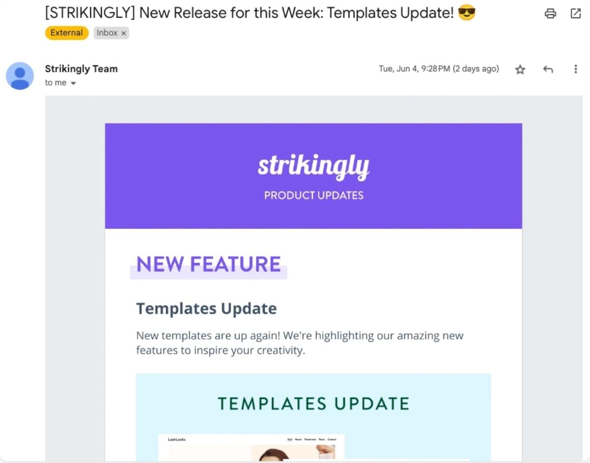 Newsletter Strikingly