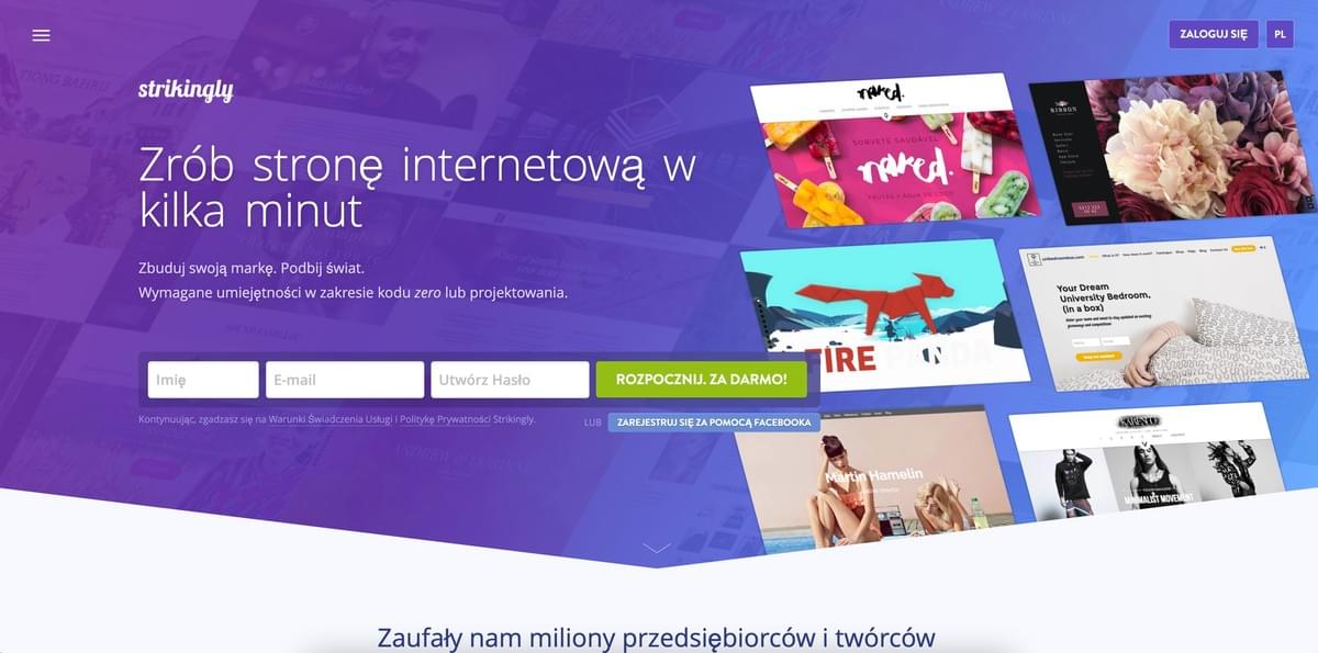 Uderzająca strona docelowa