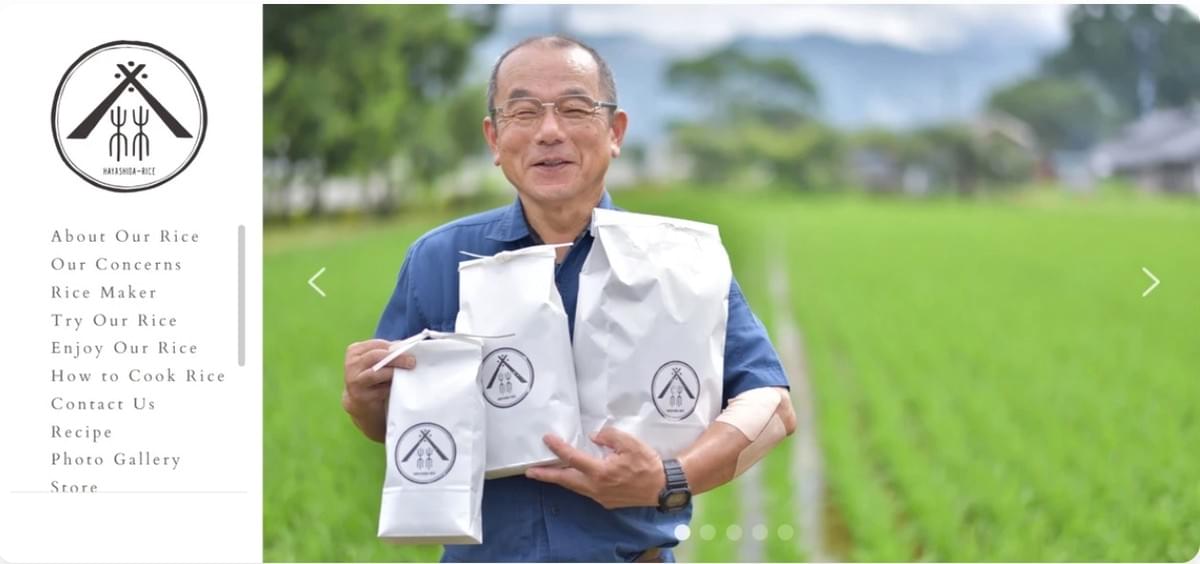 Marketing online Hayashida