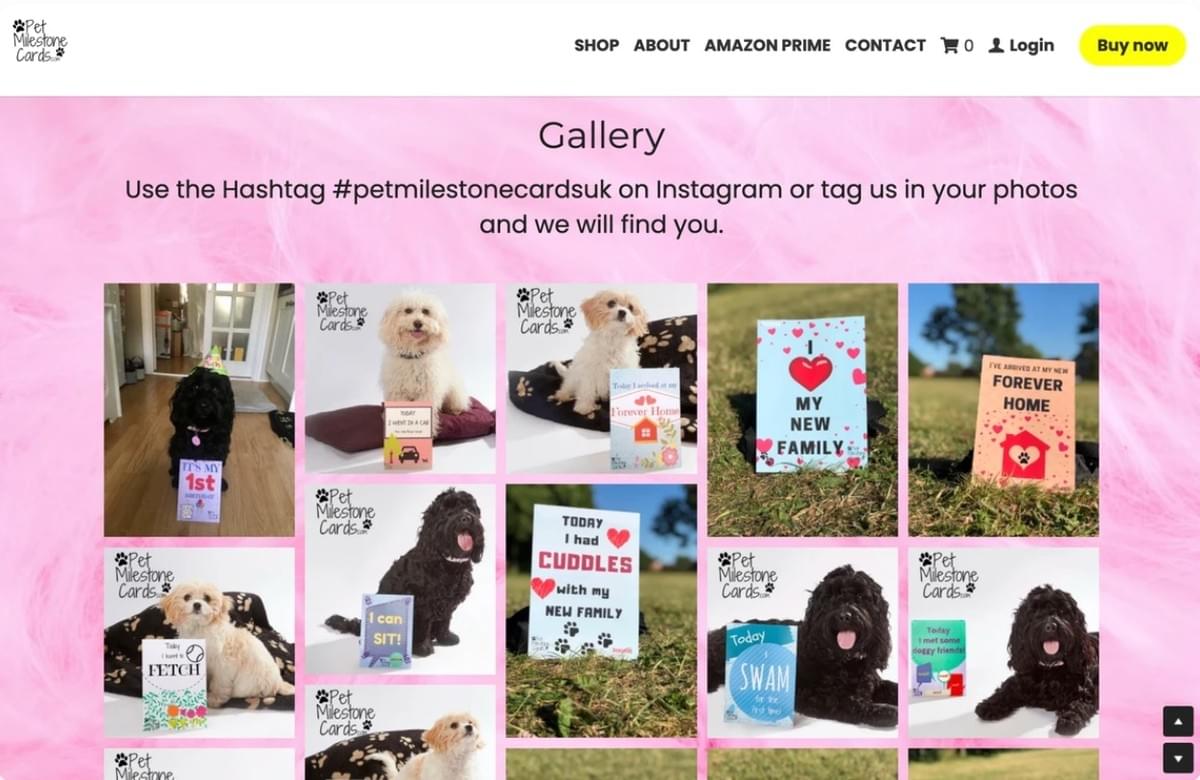 Maximaliseer uw ROI met Instagram-verhalenadvertenties
