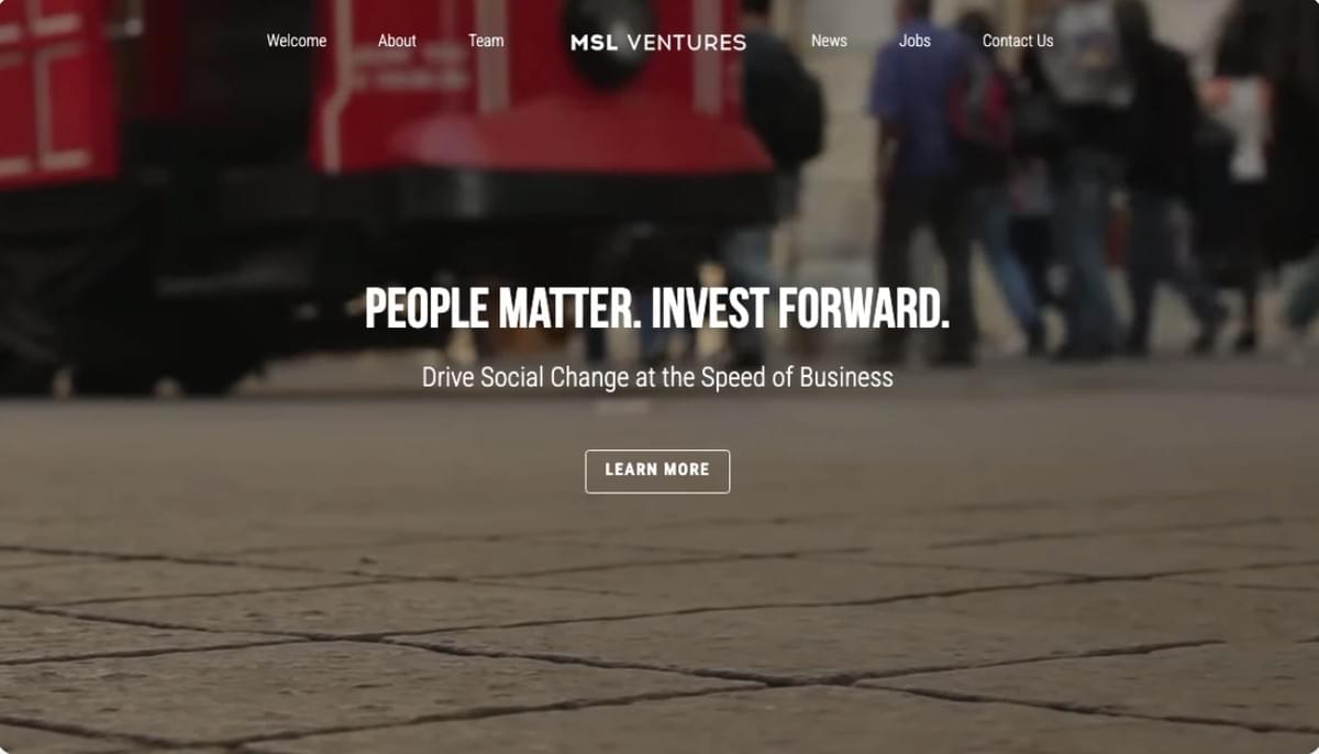 MSL Ventures Template van Strikingly