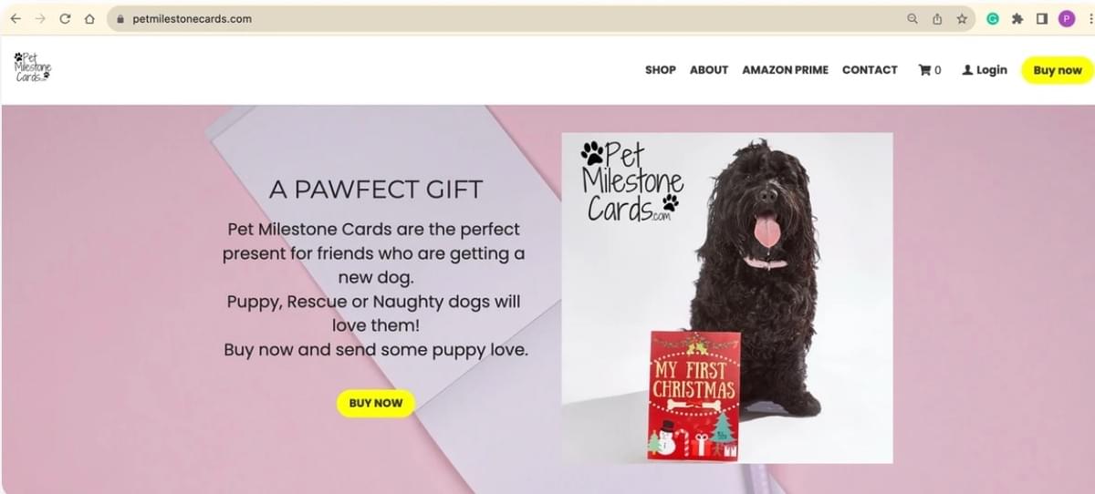 O que é Conteúdo Gerado pela Usuária?