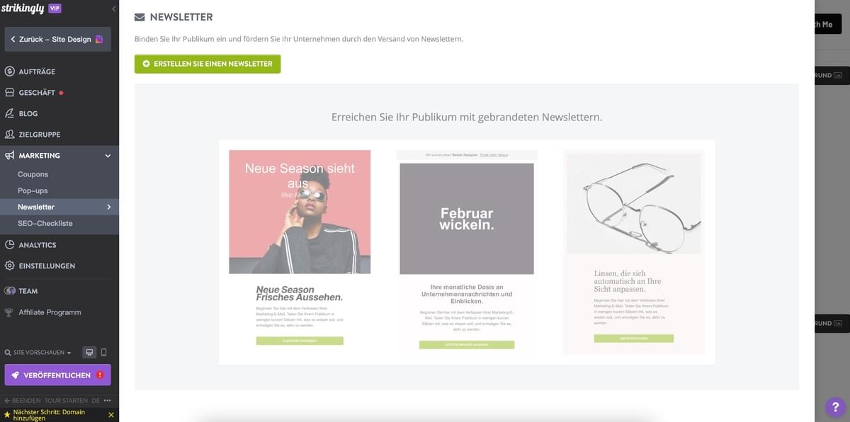 Strikingly Newsletter für Nischenmarketing